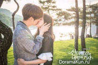 Cinderella and Four Knights