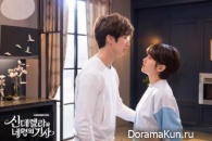 Cinderella and Four Knights
