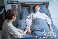 Cinderella and Four Knights