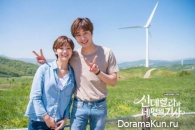 Cinderella and Four Knights