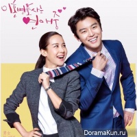 Divorce Lawyer in Love