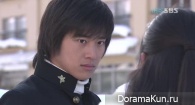 Tree of heaven