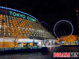 Япония. Токио Доум Сити.