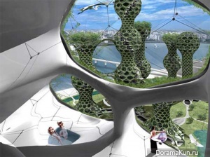 Сеул Коммуны 2026