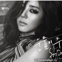 Son Dam Bi – Tears Trickling