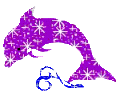 DPPDolphin